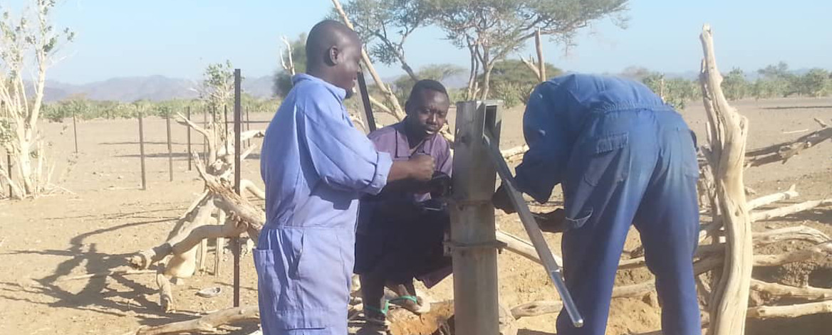 Hand Pump rehabilitation