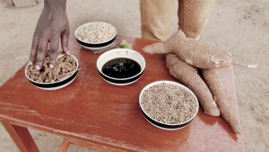 FoodUsedForBrewingBeer